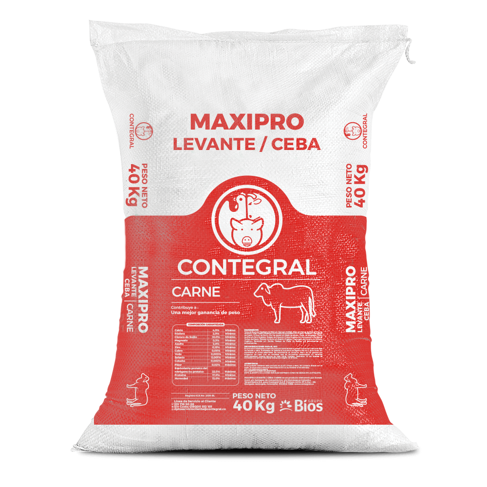 Maxipro levante/ceba carne