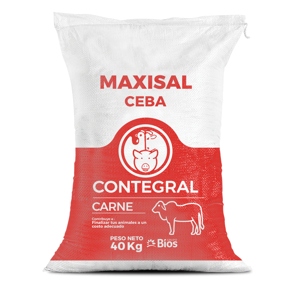 Maxisal Cebada Carne