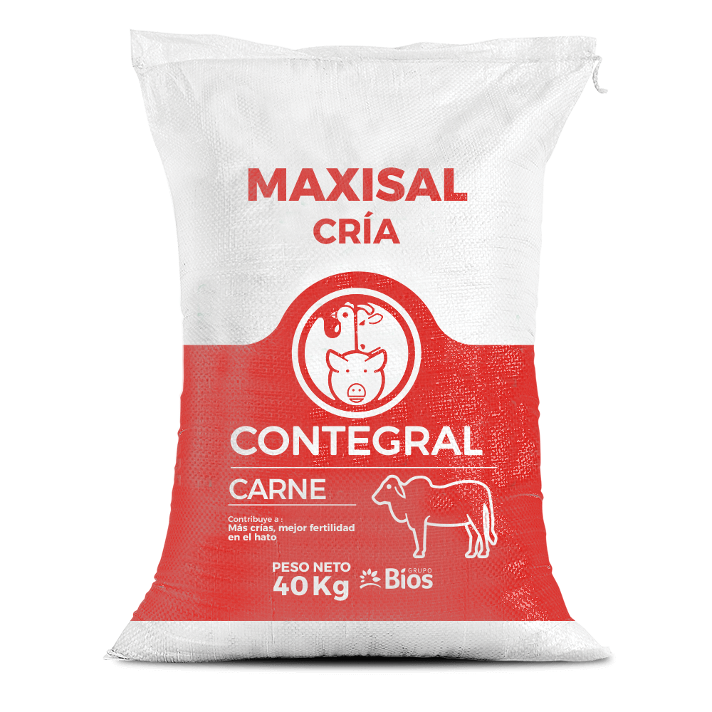 Maxisal cría carne