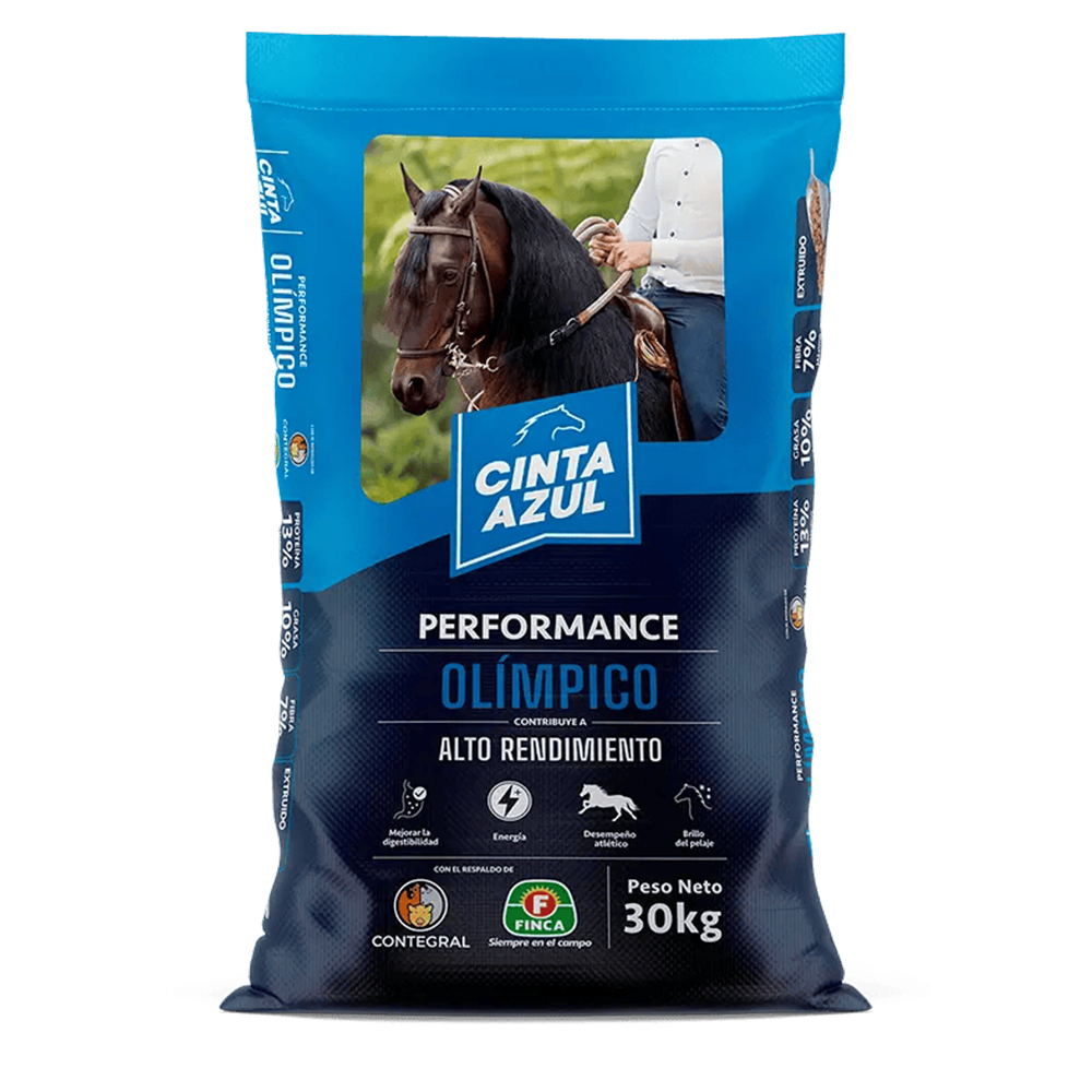 Cinta Azul Caballo Olímpico